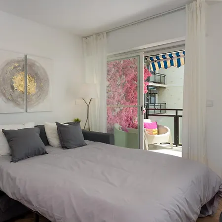 Sakura - En Front De *