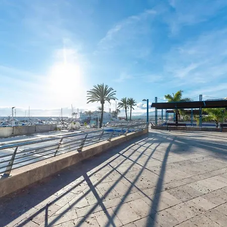 Sakura - En Front De Daire