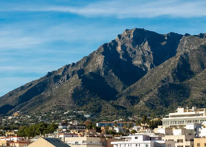 Sakura - En Front De *